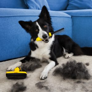 Carpet Cleaning Tips - Old World Restoration and Carpet Cleaning
