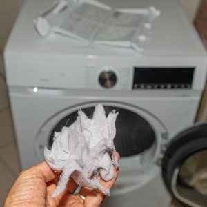 Dryer Vent Cleaning - Old World Restoration and Carpet Cleaning