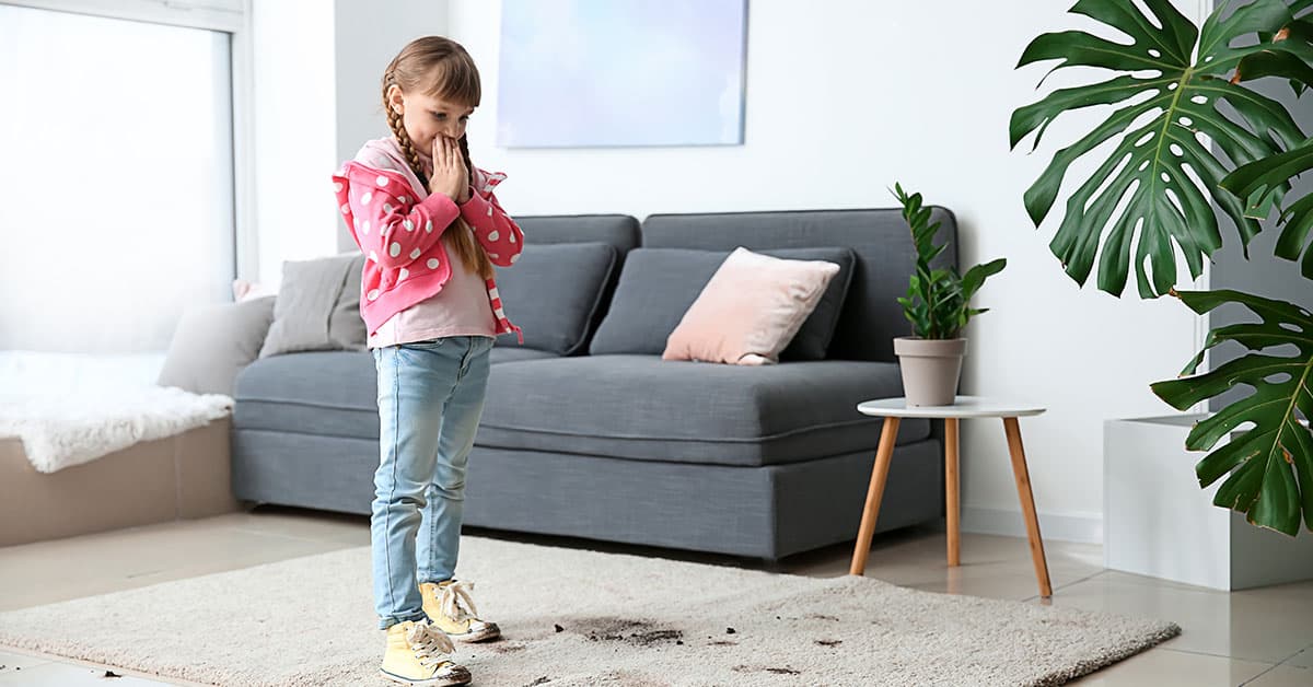 How Does Professional Carpet Cleaning Work? - Old World Restoration and Carpet Cleaning