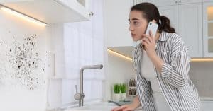 Mold Removal - Old World Restoration and Carpet Cleaning