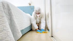 How Much Does a Hoarder Cleanup Cost? - Old World Restoration and Carpet Cleaning